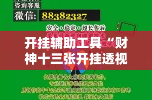 开挂辅助工具“财神十三张开挂透视软件”科技辅助神器手机版