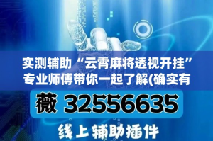 实测辅助“云霄麻将透视开挂”专业师傅带你一起了解(确实有挂