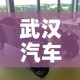 武汉汽车市场租金价格 → 武汉的汽车租赁公司有哪几家?