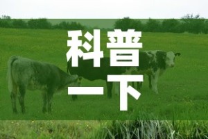 科普一下“微信牛牛群房卡哪里买”房卡链接获取