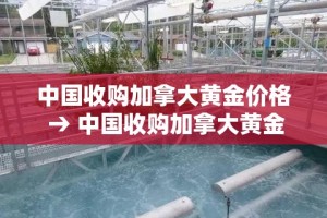 一分钟介绍使用“斗牛房卡找谁购买”轻松获取房卡全渠道