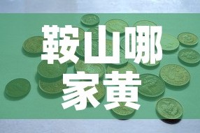 鞍山哪家黄金价格便宜 → 鞍山的黄金首饰多少钱一克