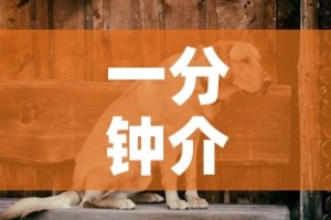 一分钟介绍使用“微信里斗牛的房卡哪里买”详细房卡教程