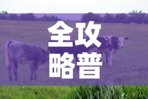 全攻略普及“微信牛牛群房间卡如何购买”轻松获取房卡全渠道