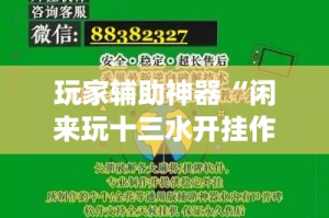 玩家辅助神器“闲来玩十三水开挂作弊辅助”专业师傅带你一起了解(确实有挂