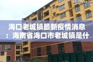 海口老城镇最新疫情消息：海南省海口市老城镇是什么区