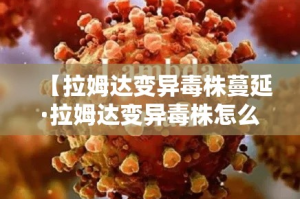 一分钟实测分享“微信牛牛房卡充值”详细房卡怎么购买教程