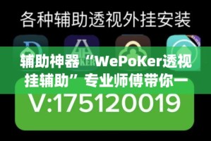 辅助神器“WePoKer透视挂辅助”专业师傅带你一起了解(确实有挂