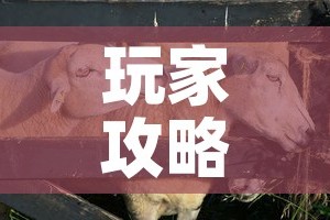 玩家攻略“微信牛牛群斗牛群”轻松获取房卡全渠道