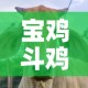 玩家攻略“五张牌斗牛牛软件”购买房卡介绍