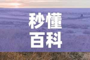 全攻略普及“炸  金花房卡链接怎么买”房卡链接获取