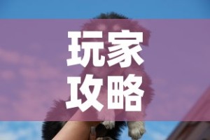 玩家攻略“斗牛房卡牛牛房卡”购买房卡介绍