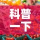 科普一下“微信群牛牛房咔去哪买”购买房卡介绍