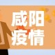 咸阳疫情卡点方案最新：咸阳疫情防控限行通知