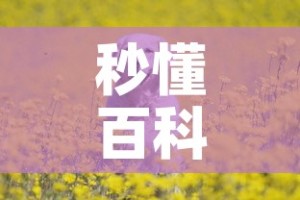 秒懂百科“斗牛房卡牛牛房卡”详细房卡怎么购买教程