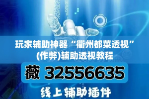 玩家辅助神器“衢州都菜透视”(作弊)辅助透视教程