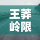 王莽岭限行—（王莽岭景区关闭）