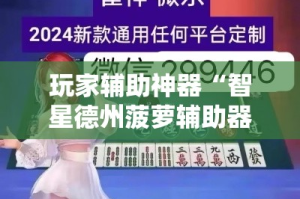 玩家辅助神器“智星德州菠萝辅助器下载安装”分享用挂教程