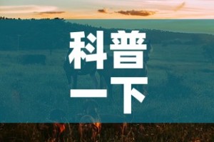 秒懂百科“新猴王牛牛房卡”获取房卡教程-哔哩哔哩