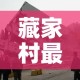 藏家村最新疫情报道—（藏家社区）