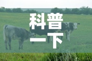 【上海恒大足球场租金价格·恒大足球场造价分析】