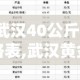 【武汉40公斤黄金价格表,武汉黄金价格今日报价表】
