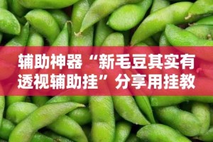 辅助神器“新毛豆其实有透视辅助挂”分享用挂教程