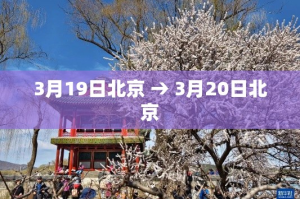 一分钟了解“微信金花链接房卡”详细房卡使用教程