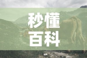 秒懂百科“微信牛牛群斗牛群”详细房卡怎么购买教程