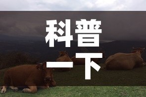 科普一下“微信斗牛牛链接”房卡使用教程