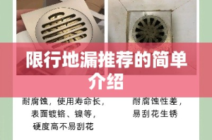 限行地漏推荐的简单介绍