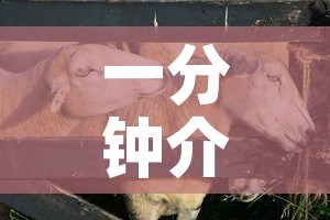 一分钟介绍使用“微信牛牛群斗牛群”轻松获取房卡全渠道