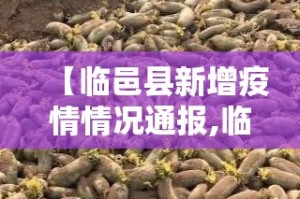 江苏疫情新增总数›江苏疫情最新2020今天新增