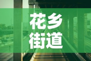 花乡街道最新疫情防控 → 花乡街道范围图
