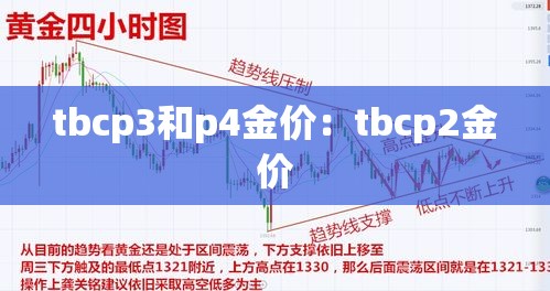 tbcp3和p4金价:tbcp2金价 tbcp3和p4金价:tbcp2金价