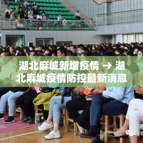 分享实测“微信里斗牛的房卡哪里买”房卡链接获取