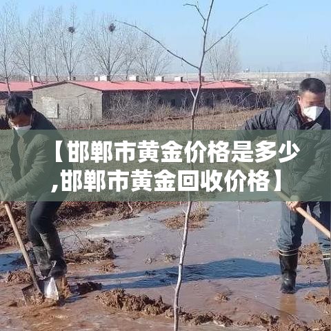 【邯郸市黄金价格是多少,邯郸市黄金回收价格】 【邯郸市黄金价格是多少,邯郸市黄金回收价格】