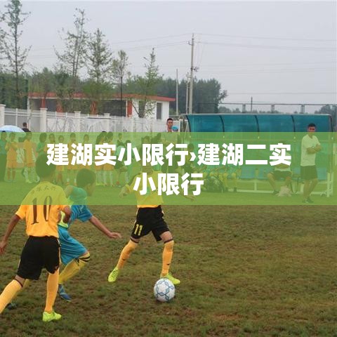 房卡必备教程“炸 金花链接房卡哪里买”链接房卡在哪里获取