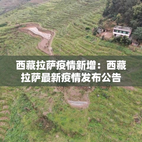 西藏拉萨疫情新增:西藏拉萨最新疫情发布公告 西藏拉萨疫情新增:西藏拉萨最新疫情发布公告