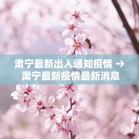 肃宁最新出入通知疫情 → 肃宁最新疫情最新消息 肃宁最新出入通知疫情 → 肃宁最新疫情最新消息