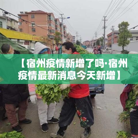 【宿州疫情新增了吗·宿州疫情最新消息今天新增】 【宿州疫情新增了吗·宿州疫情最新消息今天新增】