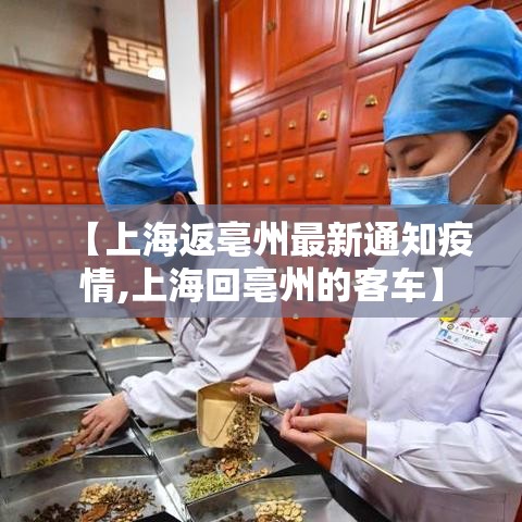 【上海返亳州最新通知疫情,上海回亳州的客车】 【上海返亳州最新通知疫情,上海回亳州的客车】