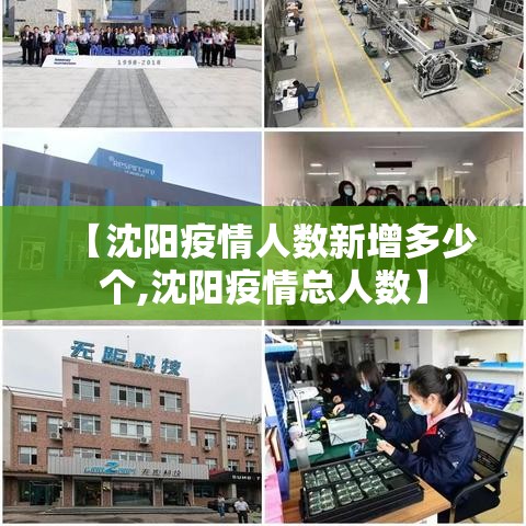 【沈阳疫情人数新增多少个,沈阳疫情总人数】 【沈阳疫情人数新增多少个,沈阳疫情总人数】