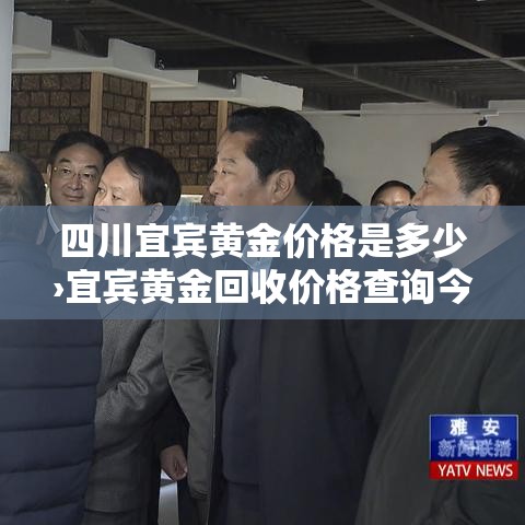 创限行罚款:限行上路罚款 创限行罚款:限行上路罚款