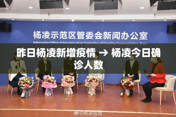 分享实测“美猴王房卡在那买”链接房卡在哪里获取