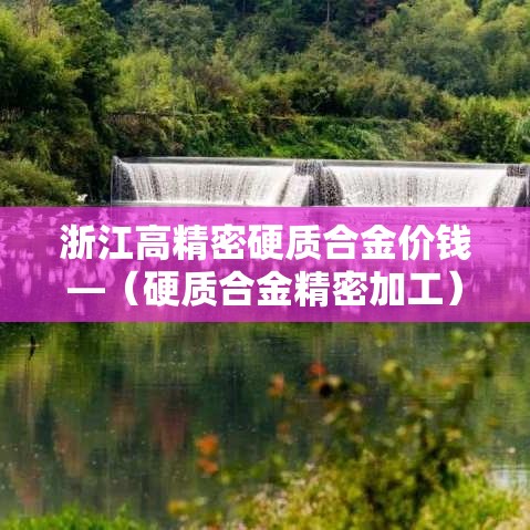 浙江高精密硬质合金价钱—(硬质合金精密加工) 浙江高精密硬质合金价钱—(硬质合金精密加工)