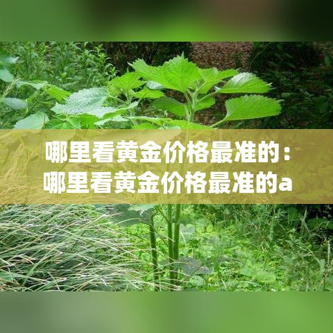 云南省祥云县疫情新增情况 → 祥云县 疫情