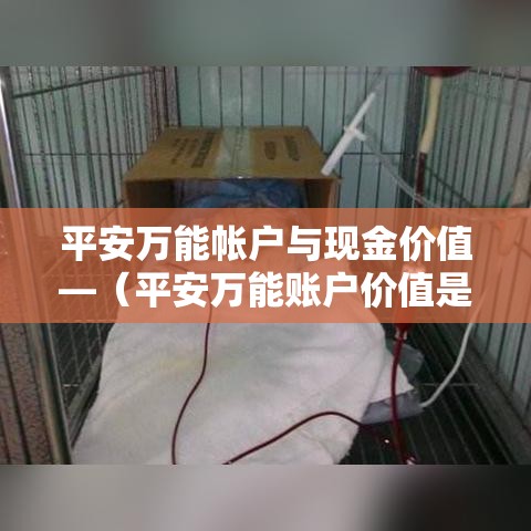 【北京室限行,请问北京限行】 【北京室限行,请问北京限行】