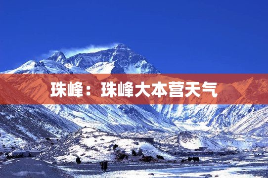 一分钟介绍使用“微信金花房间卡在哪买”购买房卡介绍
