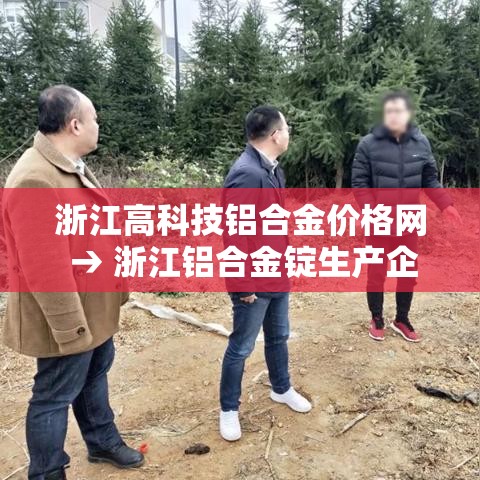 浙江高科技铝合金价格网 → 浙江铝合金锭生产企业 浙江高科技铝合金价格网 → 浙江铝合金锭生产企业